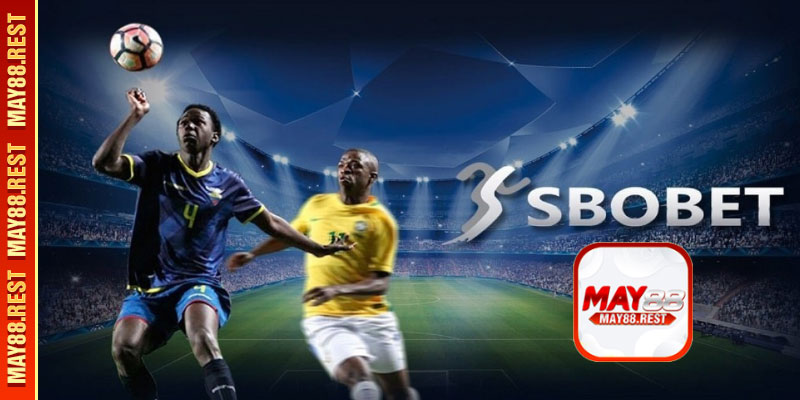 Cược thể thao cùng SBOBET Sport MAY88