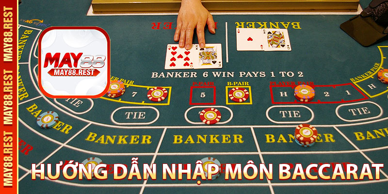 hướng dẫn nhập môn baccarat